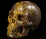Schlangen Jaspis Skull